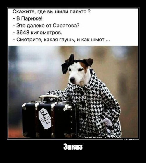 Прикольные и смешные картинки