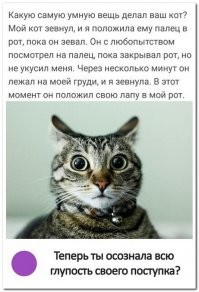 Прикольные и смешные картинки