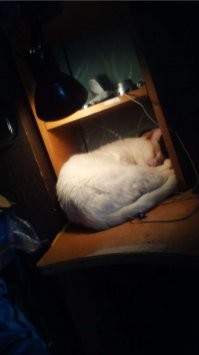 пост принял!