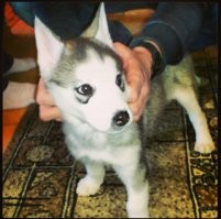 Мой барбос , разница 8 лет.