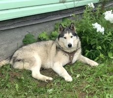 Мой барбос , разница 8 лет.
