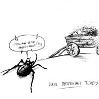 Дикое интервью с Пауком: о Кипре, котах и коронавирусе!