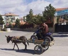 Vek prozhil i durakom ostalsa ...