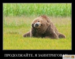 Когда жена сказала, что ты "медвежонок"