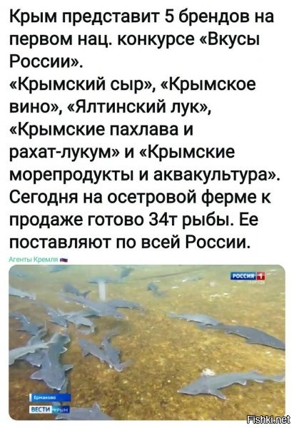 как оказалось, чтобы Крым не был убыточным, его, как и ЛЮБОЙ ДРУГОЙ РЕГИОН, надо развивать... кто бы мог подумать в куеве за все эти годы то а?!
