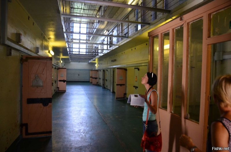 Ну как в Австралии сейчас не знаю...а раньше были такие....