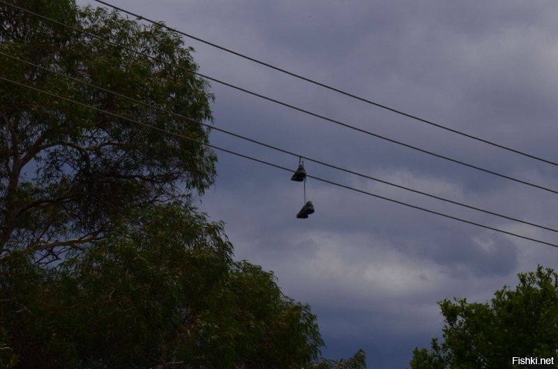 Ну как в Австралии сейчас не знаю...а раньше были такие....