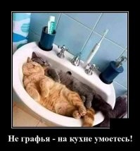 Скрины из социальных сетей