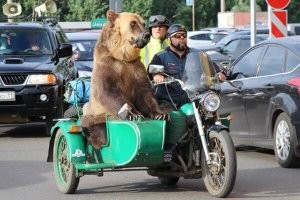 - Давай за тем троллейбусом!