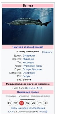 Да ты гений ля! С помощью переводчика правильность определять.