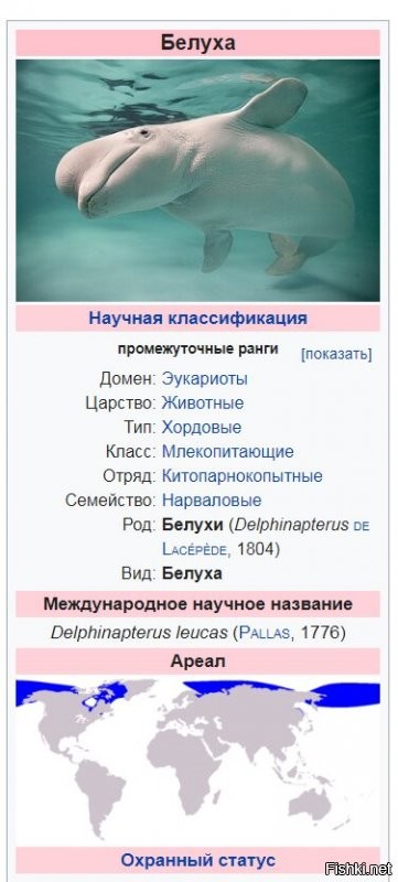 Да ты гений ля! С помощью переводчика правильность определять.