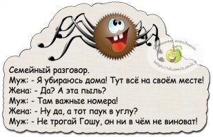 Прикольные и смешные картинки