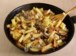 Мишустин наделил грибы статусом сельхозпродукции