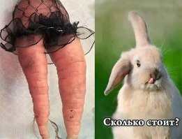 Убойные кадры из серии "Показалось", которые моментально загоняют в ступор