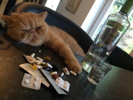 В оригинале по 2, лень картинку выставлять, пирамидону мне надо и Груню