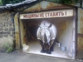 Прикольные и смешные картинки