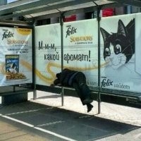 И смех и грех, или Когда над рекламой работал шизофреник
