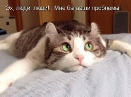 А шо, аффтар вибирает - в какой стране на шконку присесть?