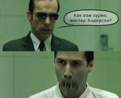 Почему вяжет хурма и как всегда покупать только сладкую
