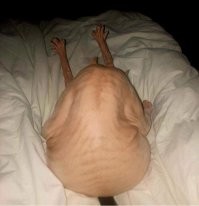 Я так и не въехал, что это?