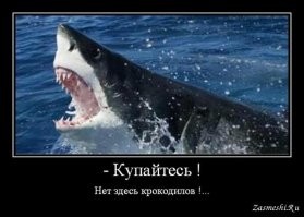 Сан Альфонсо дель Мар — крупнейший плавательный бассейн на планете