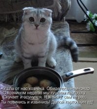 Когда ты в разводе, а кушать хочется