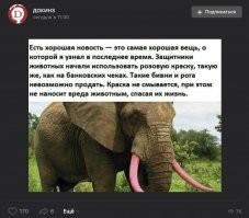 а очень жаль что это фейк...