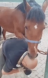 Погонял лысого?