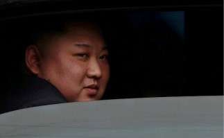 Велосипедист заметил на проезжей части перепуганную собаку
