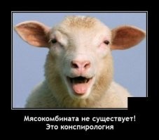 Юмор из интернета