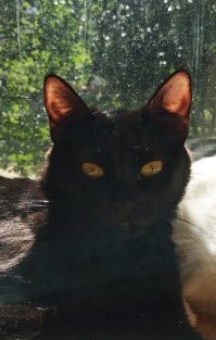 плюсую дико, пт 13 родилося)))