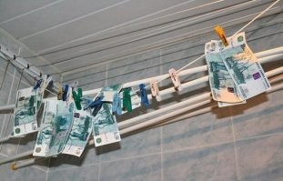 Тянет на статью об отмывании денег.