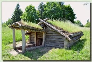 Это явно были  очень зажиточные крестьяне. Обычные гораздо  скромнее жили