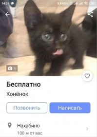 Нет тут никакой опечатки. Мелкий любитель ночного тыгыдыка.