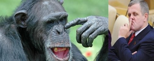 прям одно лицо