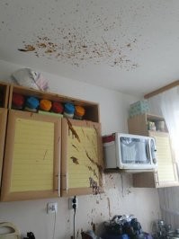Напомню классику - взрыв банки сгущенки: