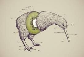 35 увлекательных снимков из Reddit-сообщества "Interesting As Fuck"