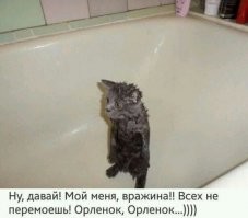 Дедушка показал, как купать ребенка, на примере кота