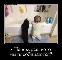 Дедушка показал, как купать ребенка, на примере кота