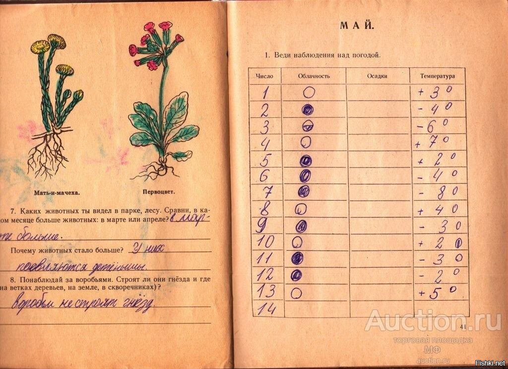 Веди наблюдение. Дневник природных наблюдений. Дневник наблюдений над природой. Дневник наблюдений 2 класс. Дневник наблюдений Советский.