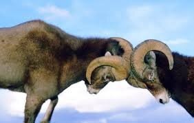 Автолюбитель несколько раз отправил противника в нокдаун во время дорожного конфликта