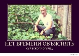 У вас тоже нет ума как у них?