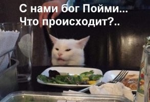 Скрины из социальных сетей