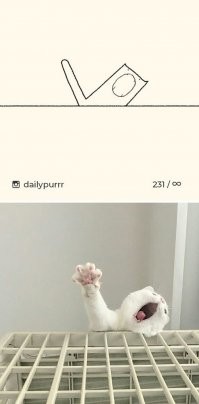 Dailypurrr со своим минимализмом смотрится забавнее)