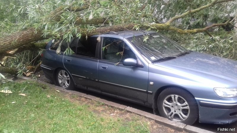 Единственная машина во дворе, на которую упало дерево, была моя(((