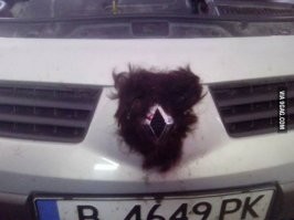 Подборка автомобильных приколов