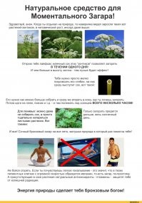 Тупые советы из интернета, которым лучше никогда не следовать