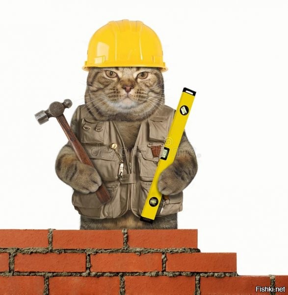 Котик инженер