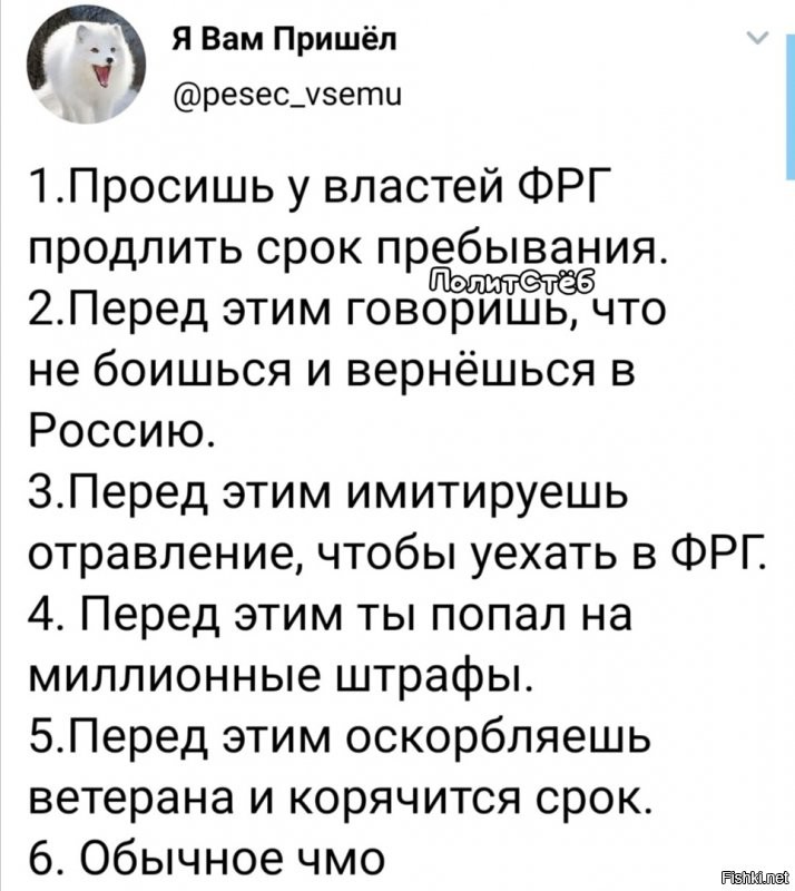 Политические комментарии из инета