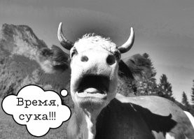 Ретро фотографии